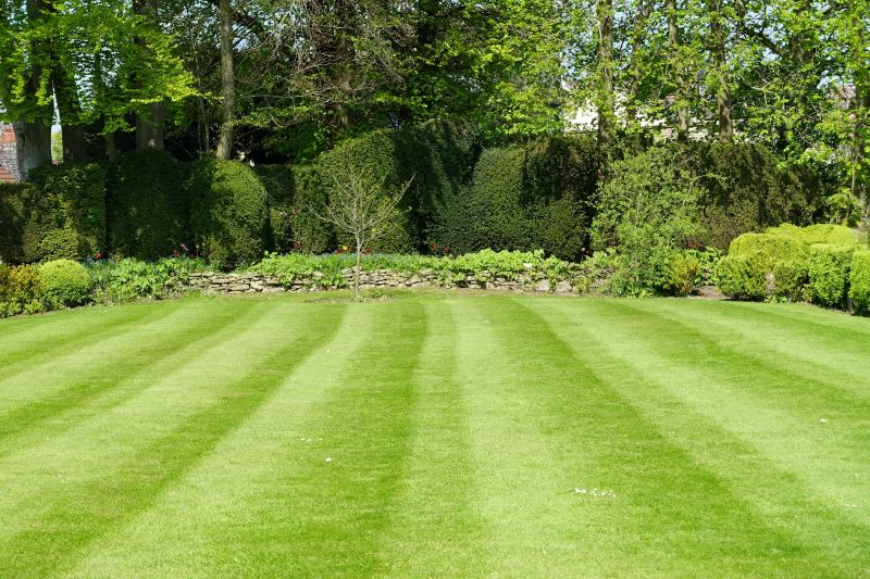 Landscape Maintenance Firms