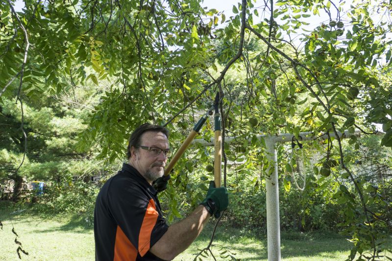 Contact About Tree Maintenance